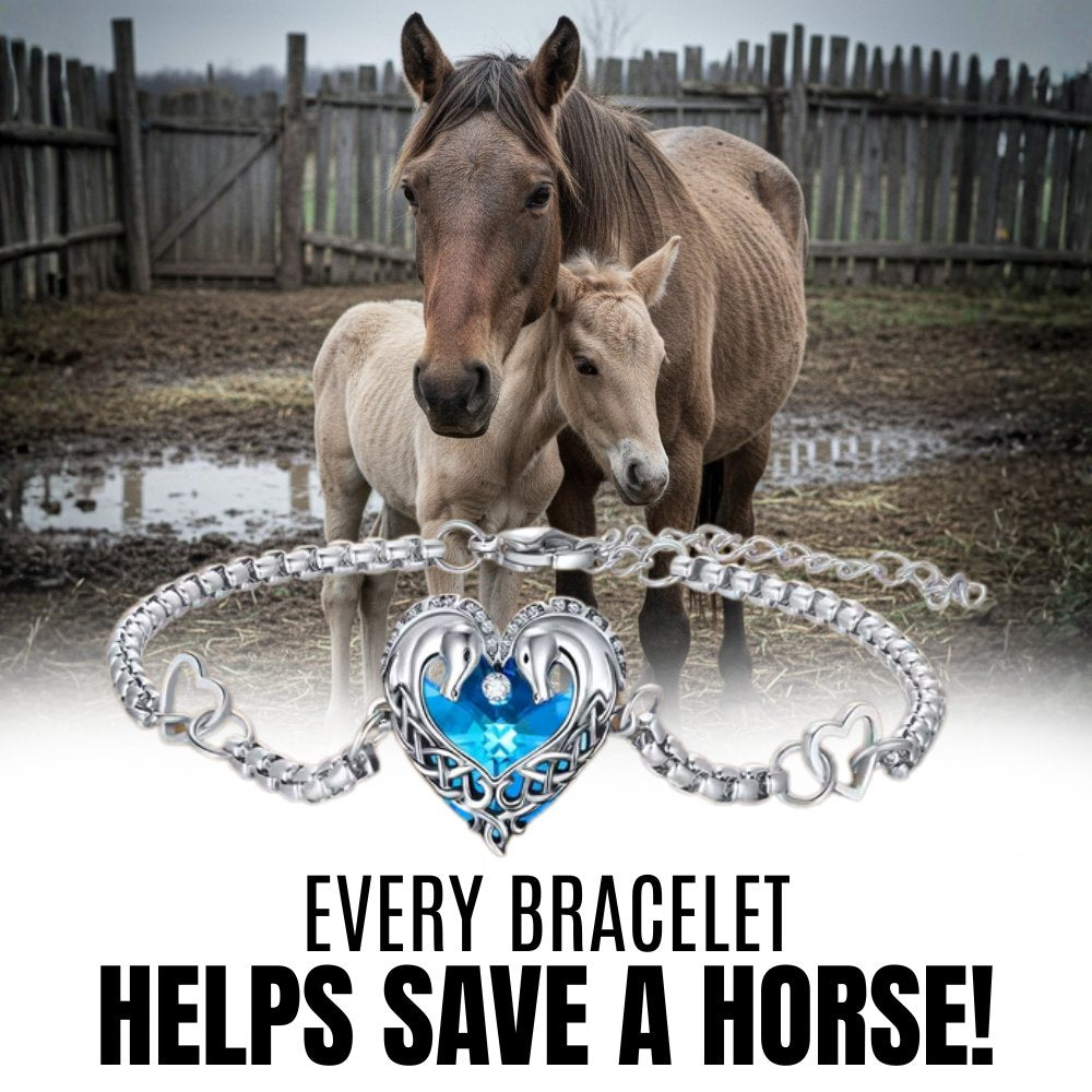 Horse Mission Silver Bracelet