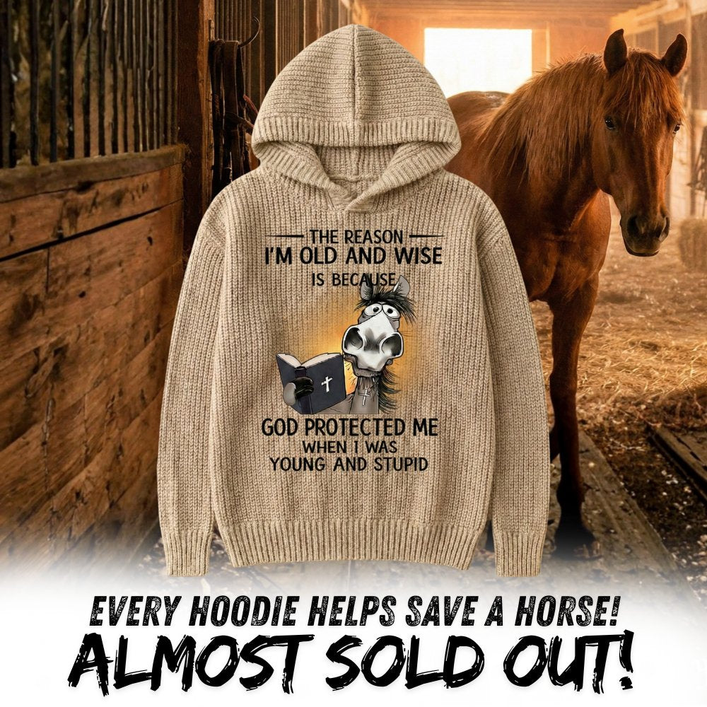 Funny Horse Knit Hoodie