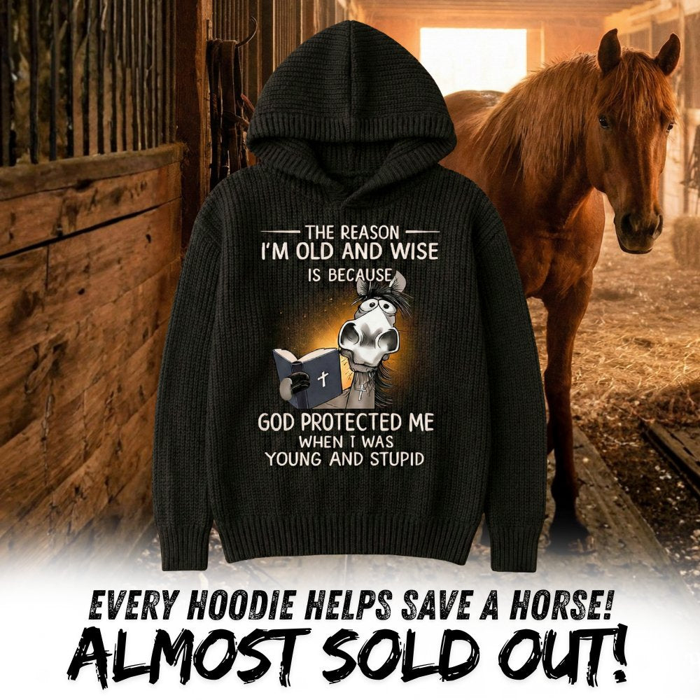 Funny Horse Knit Hoodie